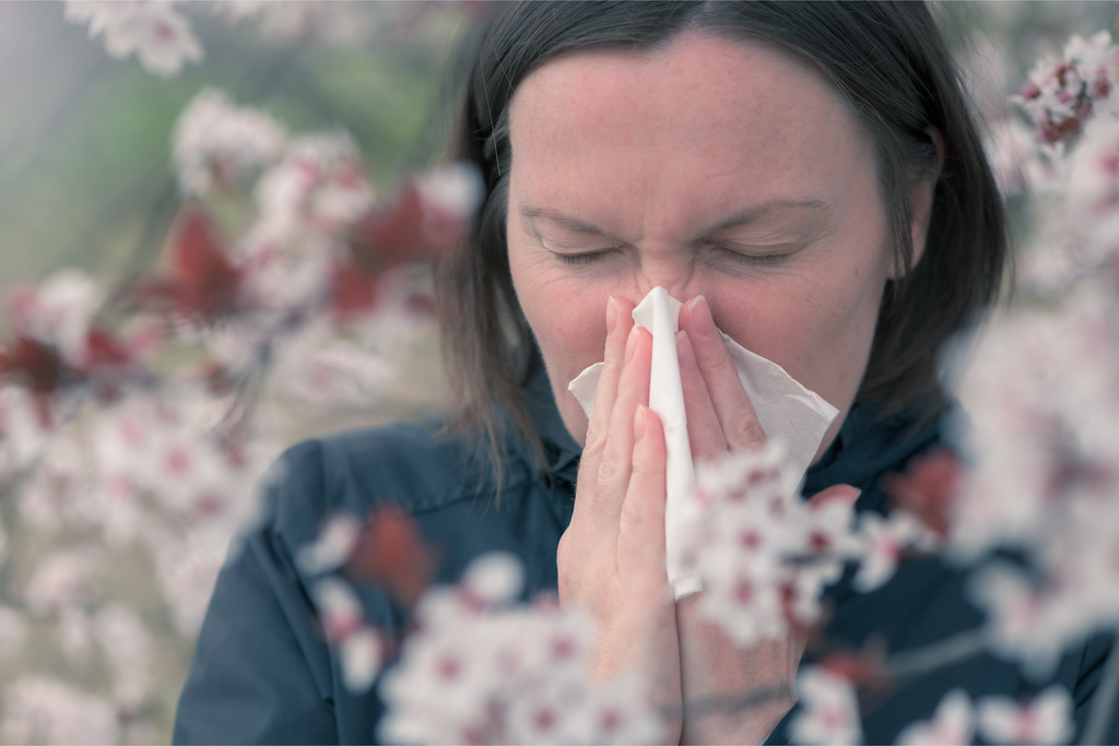 A Guide to Pollen: What Is It, Why Are We Allergic and Finding Relief?