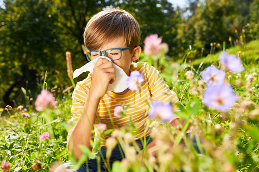 A young boy with a stuffy nose blowing his nose.