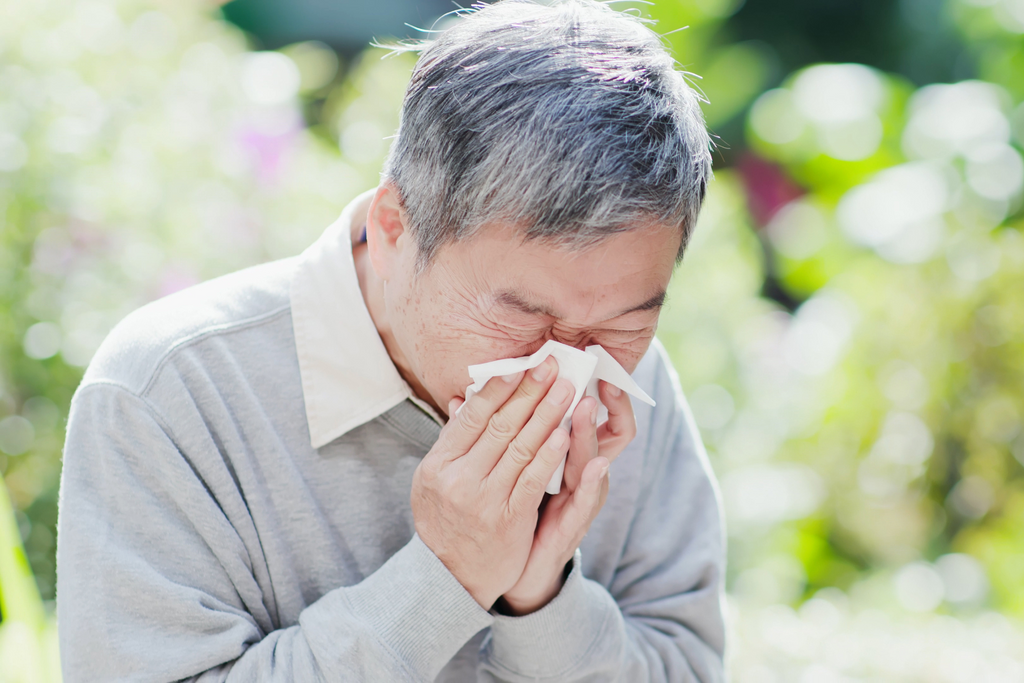 An older man with allergies sneezing into a tissue.