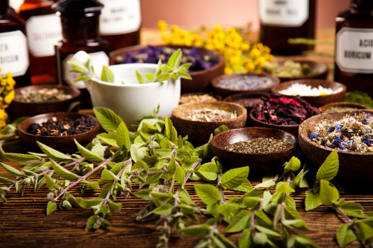 Natural herbal remedies on a large table.