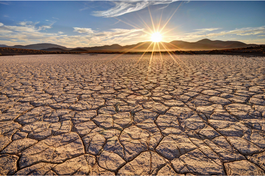 The sun rising over a hot and dry desert.